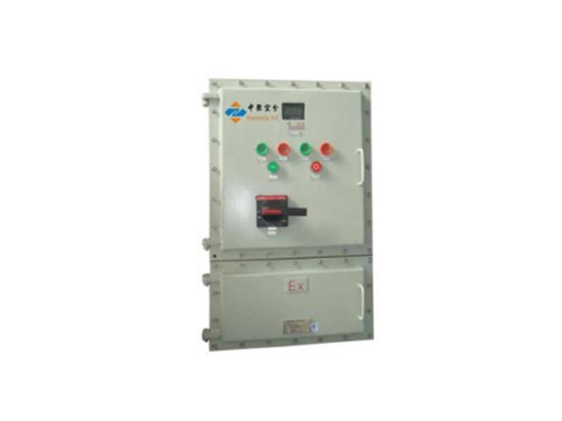 Explosion proof control system